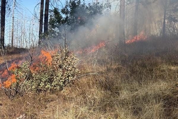 HOW THE PBA HELPS YOU PREPARE FOR WILDFIRE